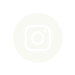icono instagram